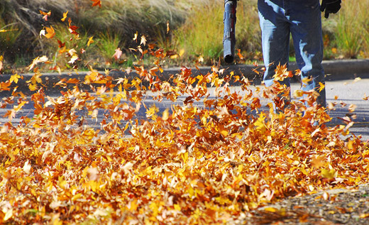 Leaf removal